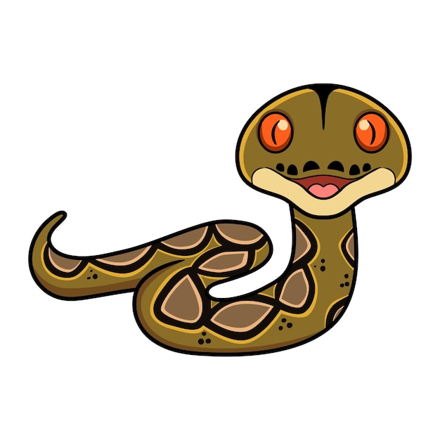 Premium Vector | Cute happy reticulatus python cartoon