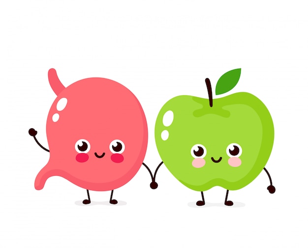 Vector cute happy smiling stomach and apple character. vector flat cartoon illustration  design. isolated on white . stomach and apple friends character concept