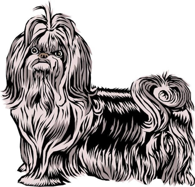 Vettore illustrazione comica di vettore degli animali domestici disegnati a mano del fumetto sveglio di havanese dog