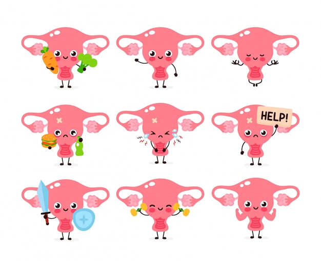 벡터 귀여운 건강한 행복한 여성 자궁 기관 문자 집합 컬렉션입니다.