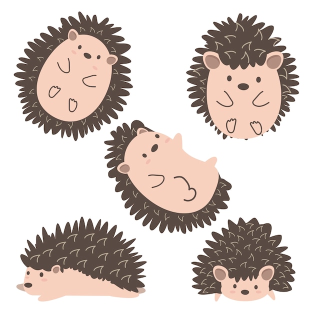 Cute Hedgehog or Porcupine animal set