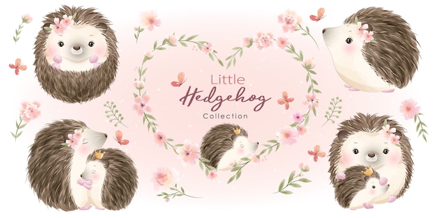 Vector cute  hedgehog with floral collection