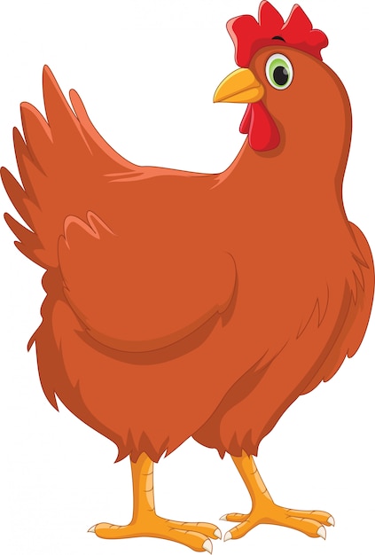 Cute hen cartoon