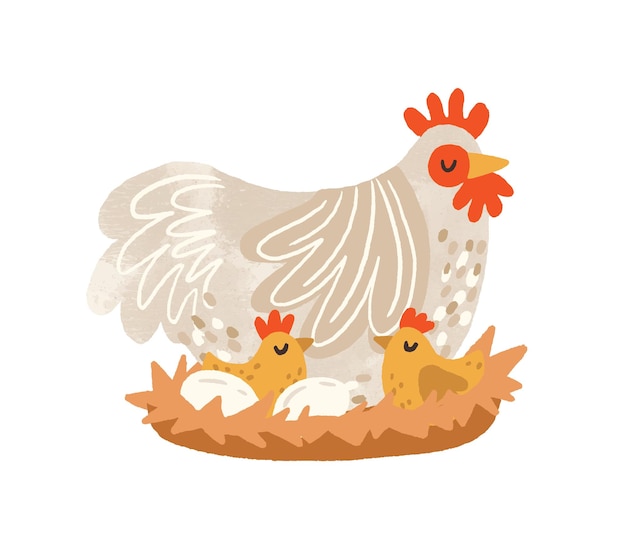 Cute chicken hen cartoon on white background 21458228 Vector Art at Vecteezy