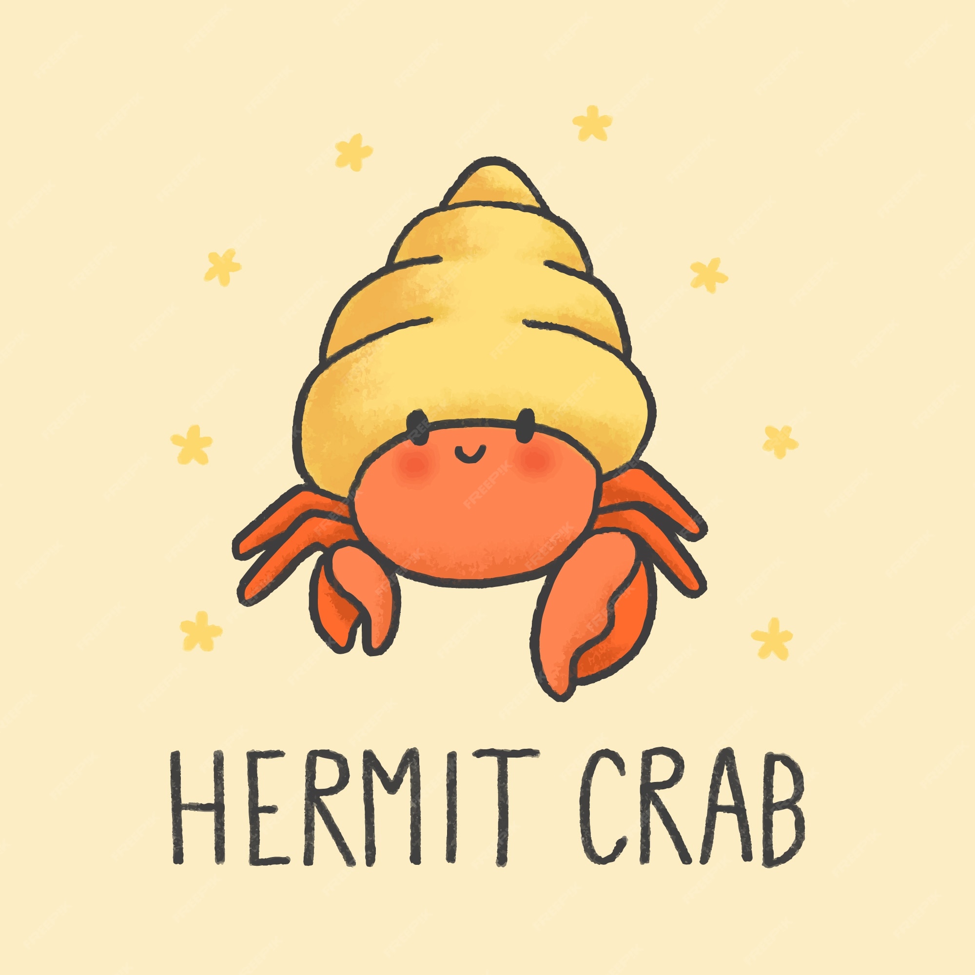 Premium Vector | Cute hermit crab cartoon hand drawn style