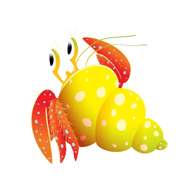 Vector cute hermit crab hand drawn illustration for kids