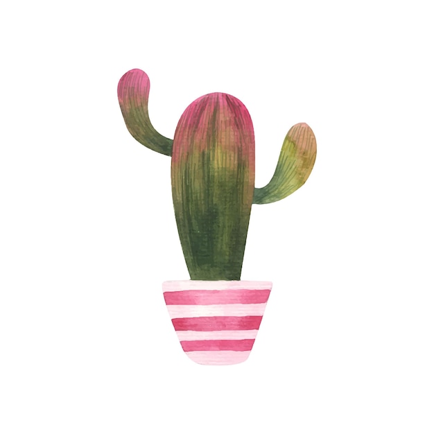 cute home plant, potted flowers and plants, cute watercolor illustration