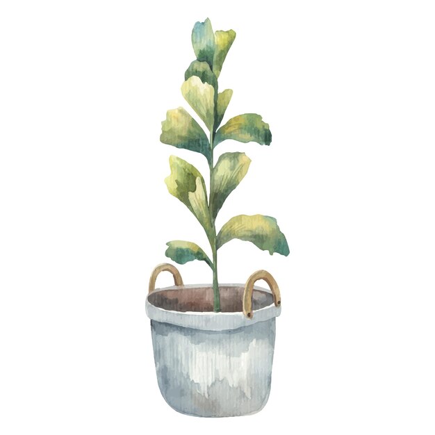 cute home plant, potted flowers and plants, cute watercolor illustration