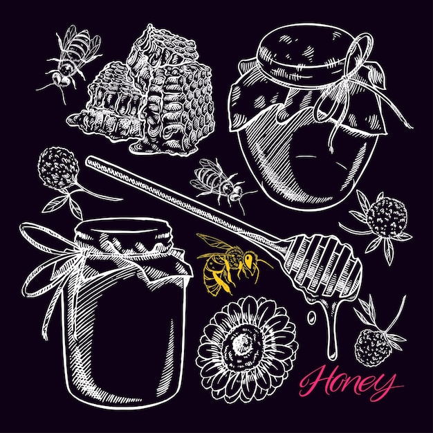 Vector cute honey set. jars of honey, bees, honeycomb. hand-drawn illustration