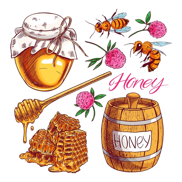 Cute honey set. jars of honey, bees, honeycomb. hand-drawn illustration