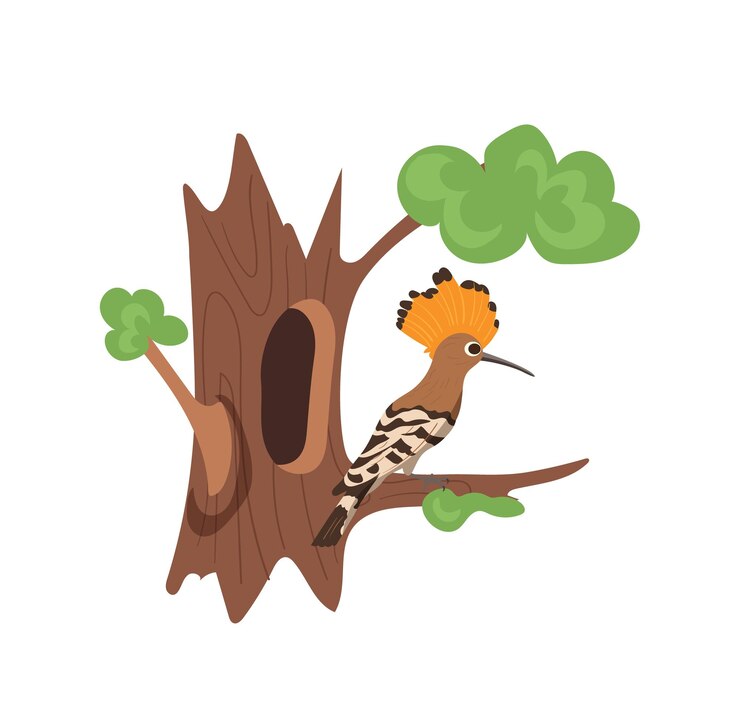 Vector cute hoopoe bird cartoon character sitting on tree branch nearby hollow house isolated on white