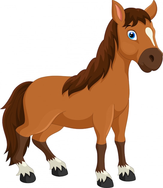 Cute horse cartoon