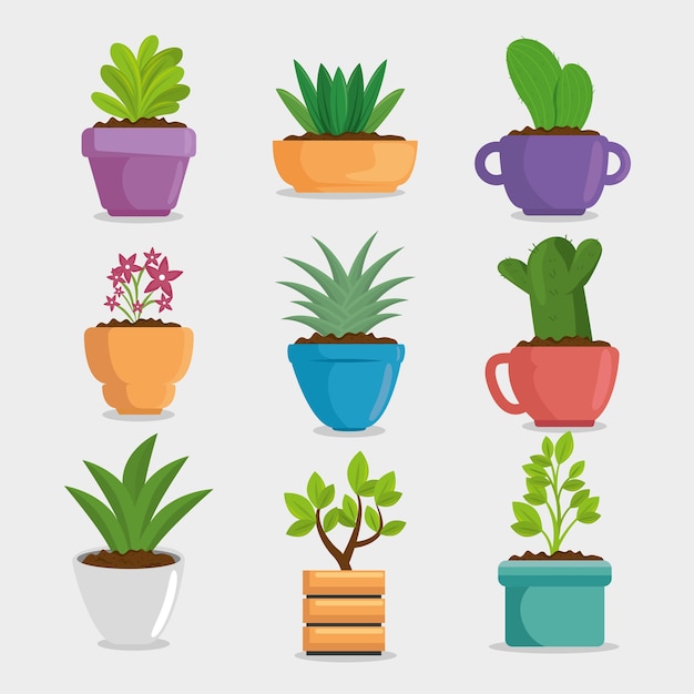 ポットのかわいいhouseplant