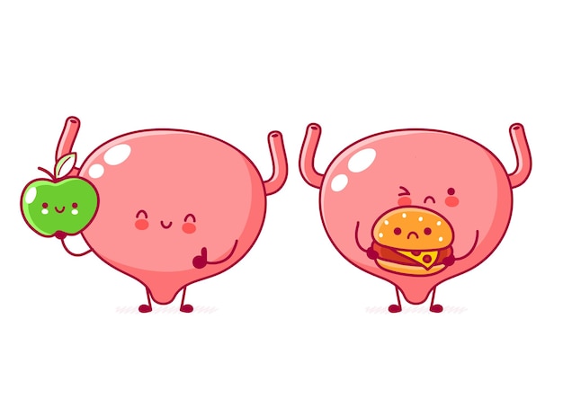 リンゴとハンバーガーとかわいい人間の膀胱器官のキャラクター