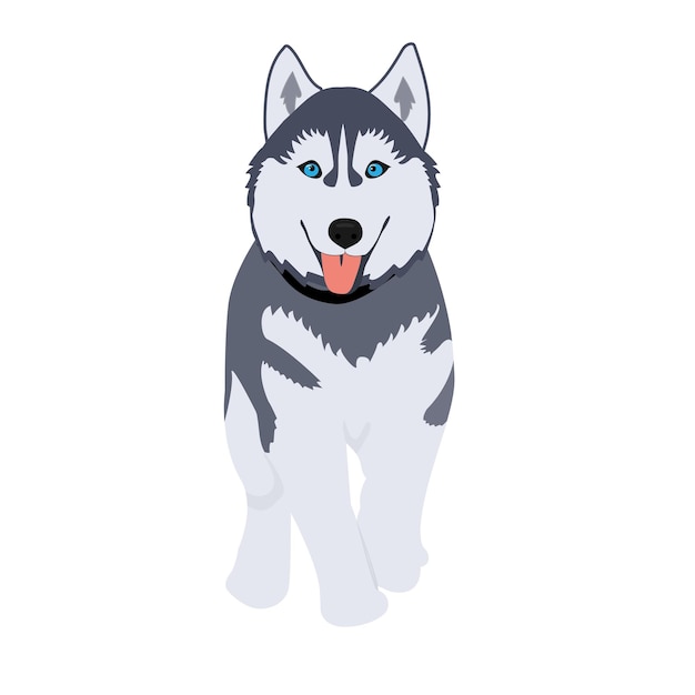 Vettore simpatico cane husky illustrazione vettoriale in stile cartone animato