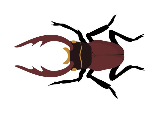 Vector cute insect concept brown bug or beetle fauna and wild life zoology and biology spring and summer