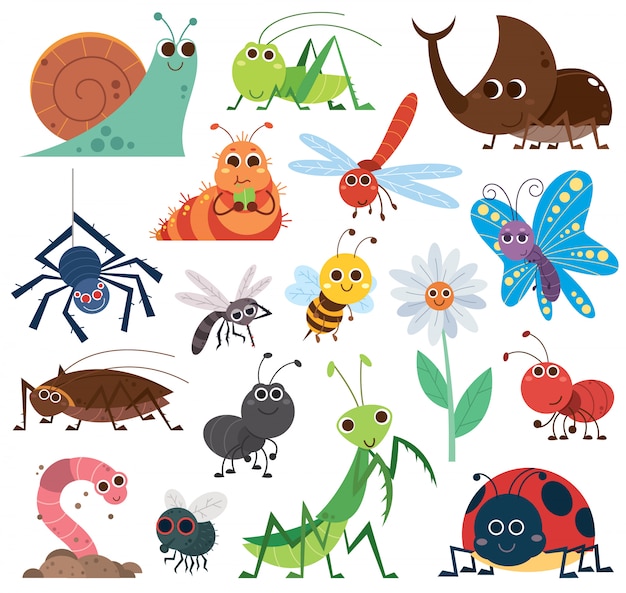 Cute insect set. Cartoon insects.