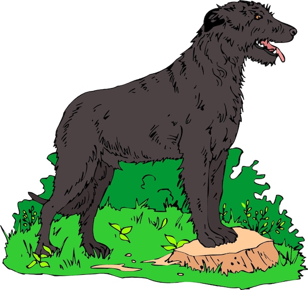 Cute irish wolfhound dog cartoon handdrawn pet animals comic vector illustration