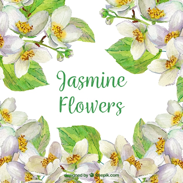 Vector cute jasmine background with watercolor style