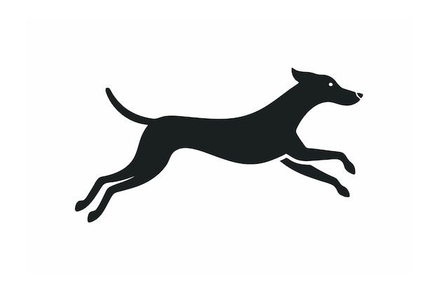 a cute jumping dog