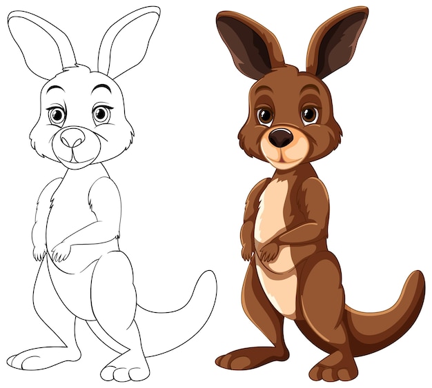 Vector cute kangaroo illustration before and after