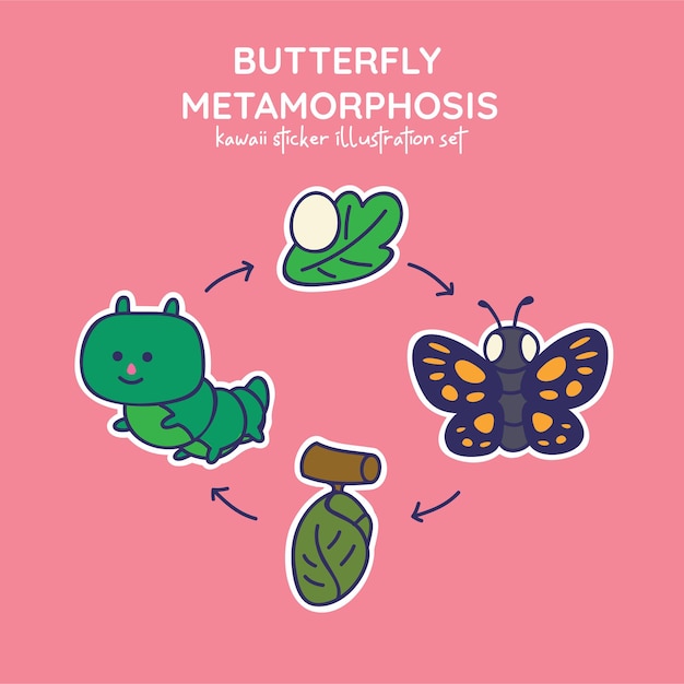 Vettore cute kawaii butterfly metamorphosys sticker illustration set uovo bruco crisalide farfalla