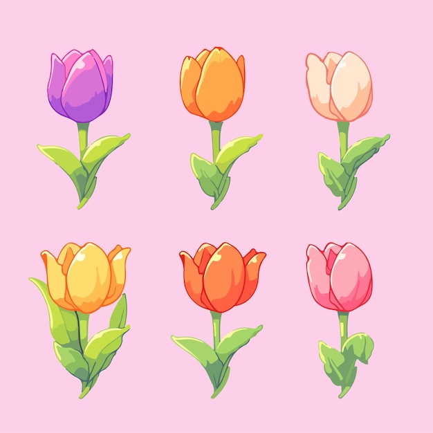 Cute kawaii colourful Tulip flowers cartoon illustration vector