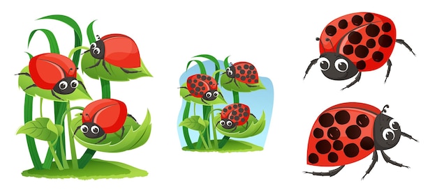 Cute kawaii coccinella sorride illustrazione per bambini coccinella in stile cartone animato vettore di sfondo colorato insetti illustrazione carino carta da parati decorativa buona per la stampa