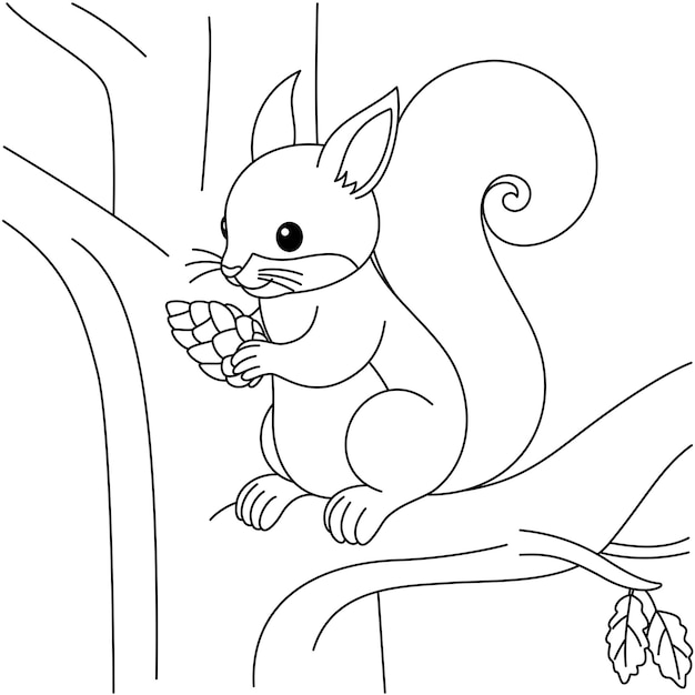 Vector cute kawaii squirrel is holding acorn standing on the branch tree cartoon character coloring page