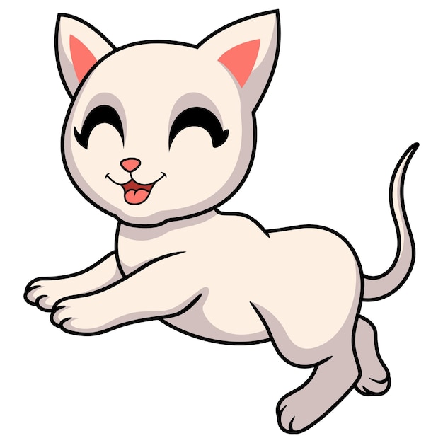 Cute khao manee cat cartoon