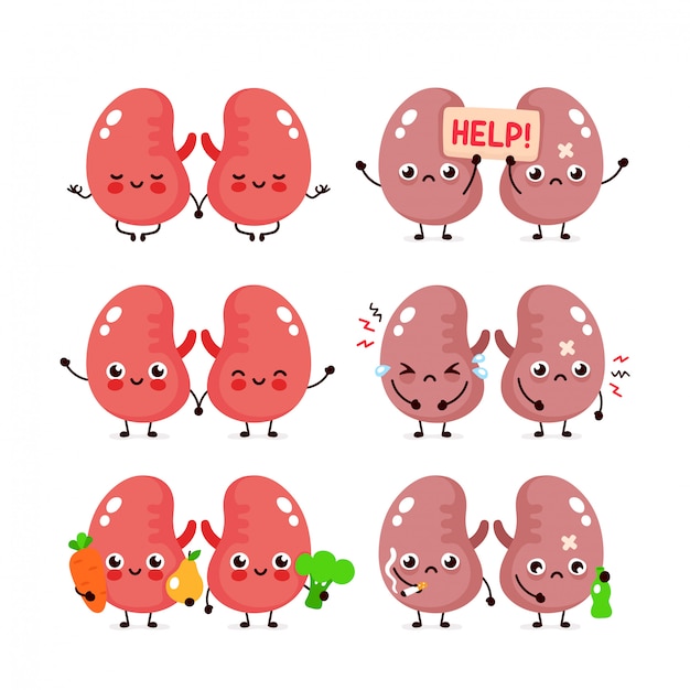Vector cute kidneys set. healthy and unhealthy human organ.