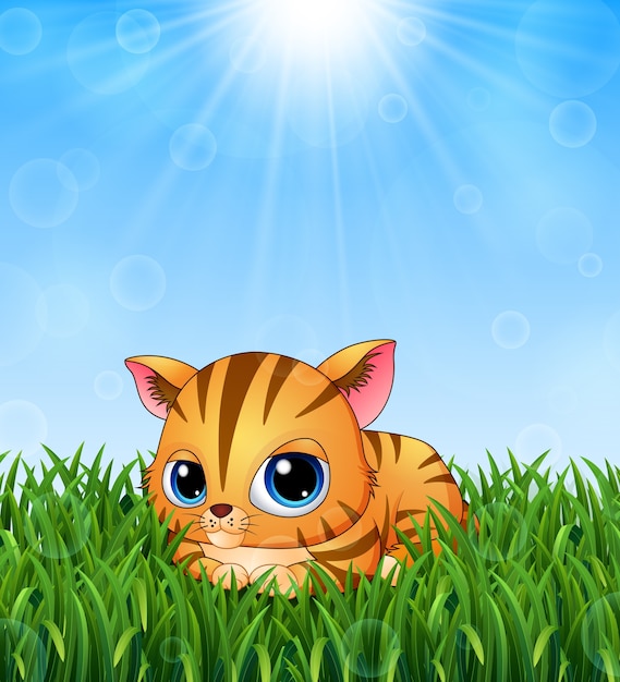 Симпатичный мультфильм котенка лежал в траве