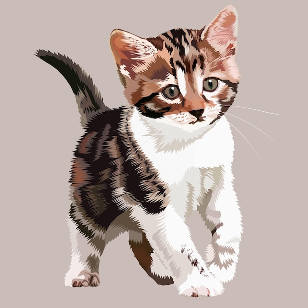 Vettore illustrazione vettoriale di un gattino carino che cammina