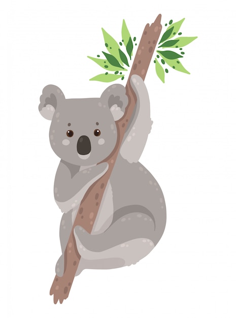 Cute koala bear isolated