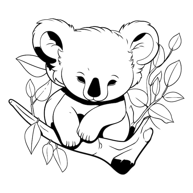 Cute koala sitting on eucalyptus branch Hand drawn vector illustration