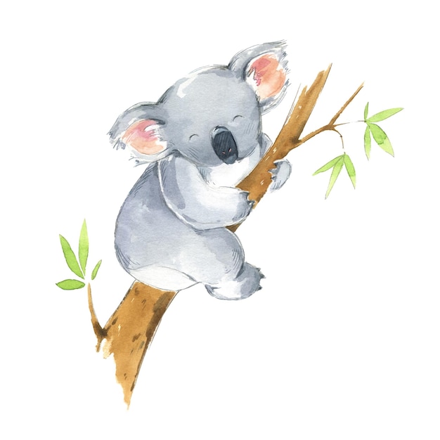 Koala carino seduto su un albero, illustrazione ad acquerello