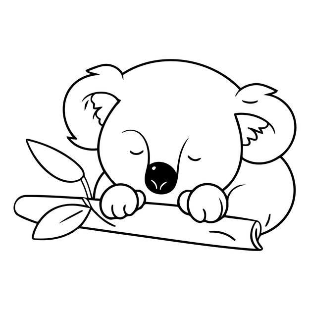 Vector cute koala sleeping on eucalyptus branch vector illustration