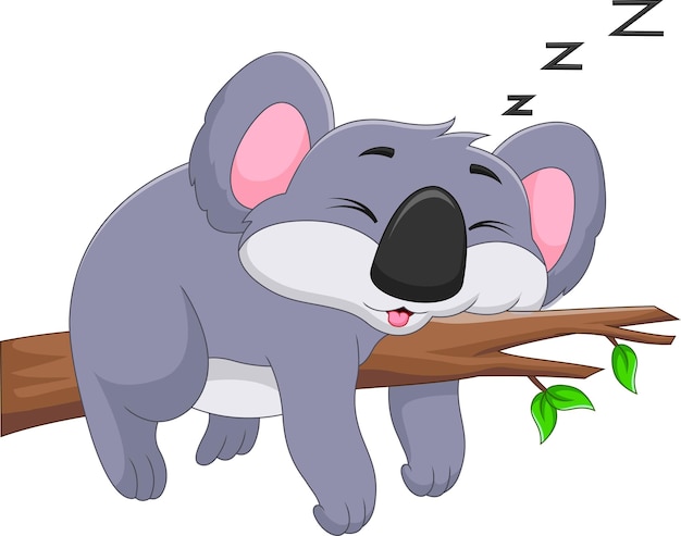 Vector cute koala sleeping on a tree