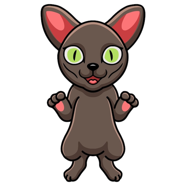 Cute korat cat cartoon standing