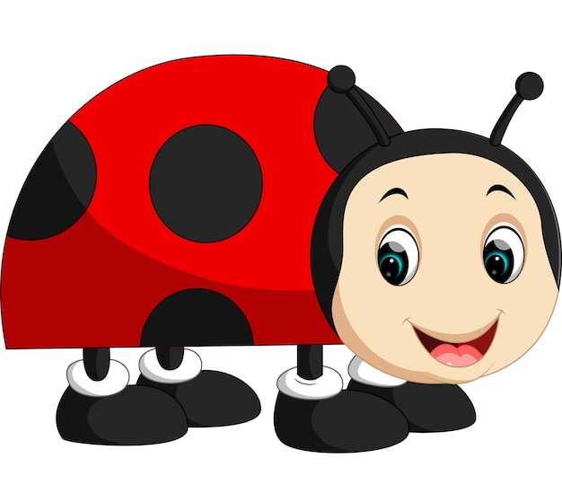 Cute ladybug cartoon