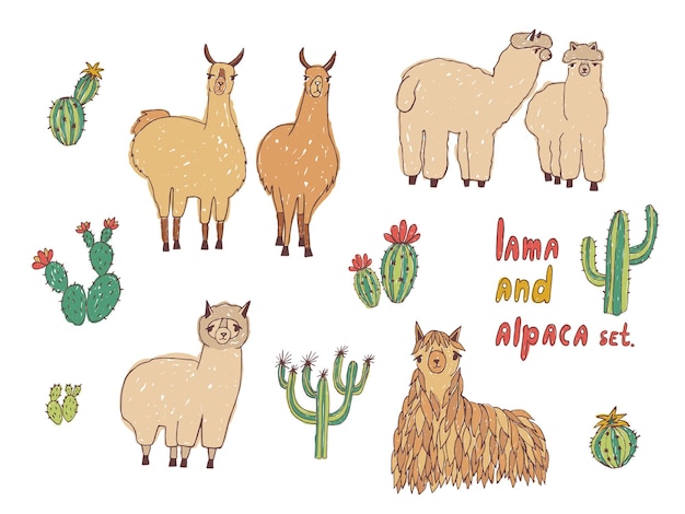 Cute lama, alpaca and cactuses set. hand drawn colorful illustration.