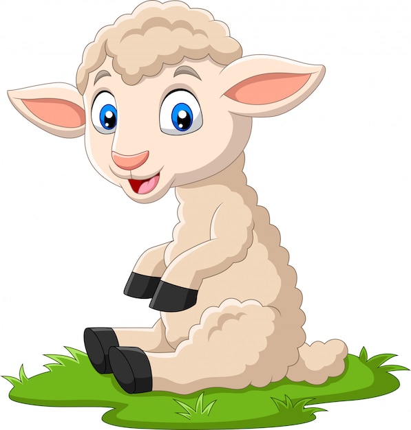 Cute lamb cartoon sitting on the grass