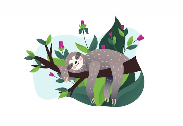 Cute lazy sloth sleeping on a branch of the tropical tree. cartoon style,  illustration. slow down quote lettering.