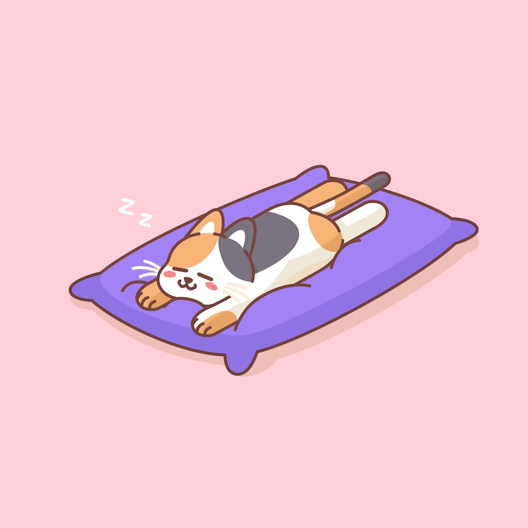 Vector cute lazzy cat sleep top on pillow