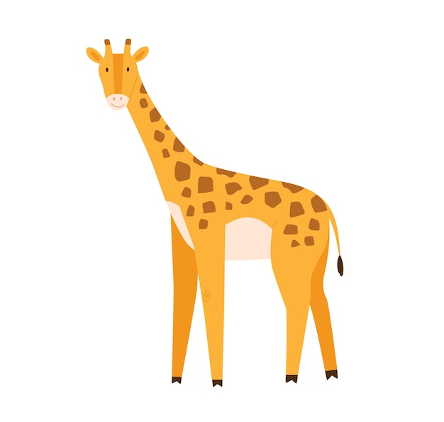 Piccola giraffa sveglia del bambino. animale africano sorridente divertente. illustrazione vettoriale di cartone animato piatto colorato di carattere infantile felice isolato su sfondo bianco.