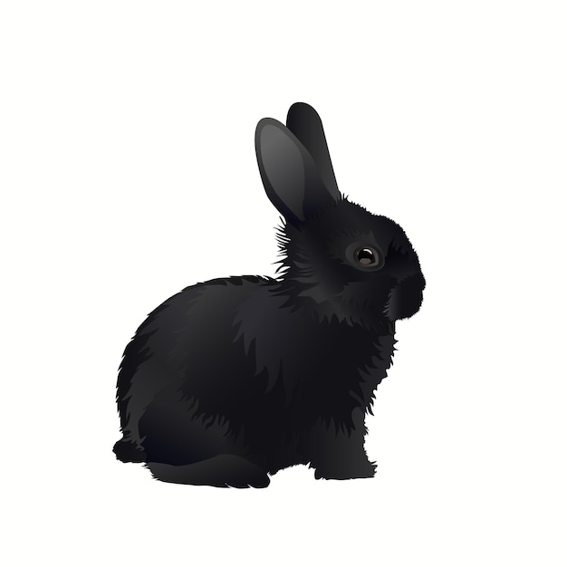 Милый маленький черный кролик. Векторная иллюстрация черного кролика на белом фоне