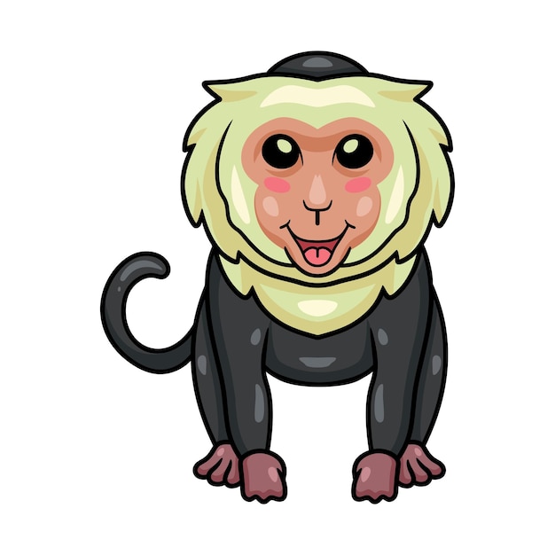 Vector cute little capuchin monkey cartoon