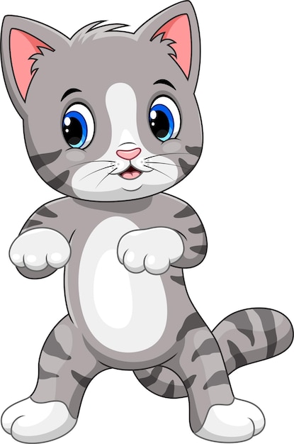 Vector cute little cat cartoon on white background