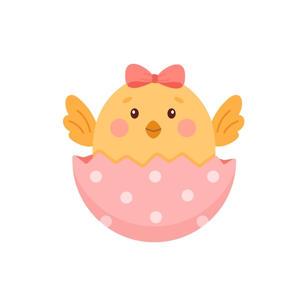 cute little chicken hatched from an egg