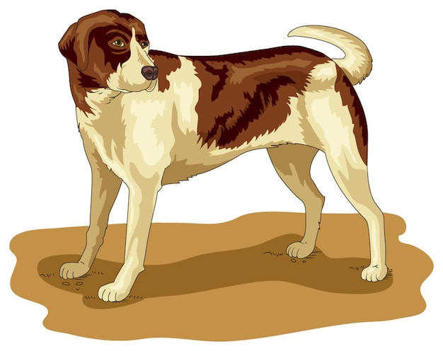 cute little dog waging its tail